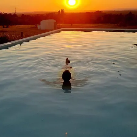 Pédebicho Serra Da Arrábida Country Inn&studios Appartement Azeitão